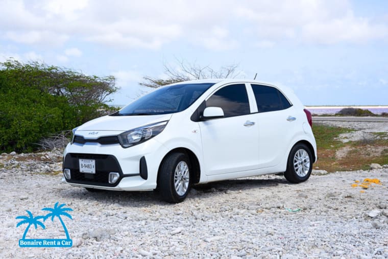 Car rental Bonaire Kia Picanto Left View