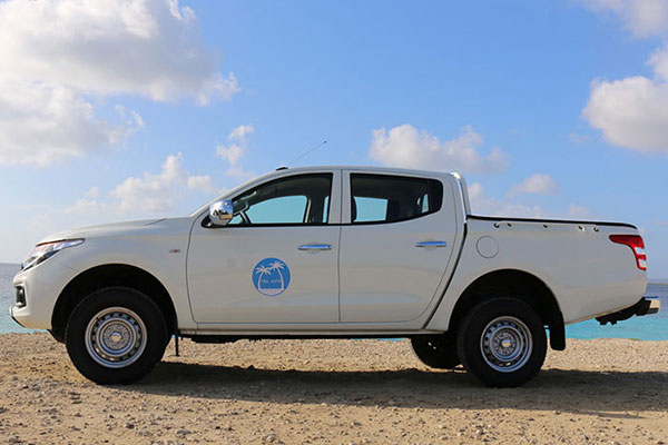 Pickup Deluxe 4x4